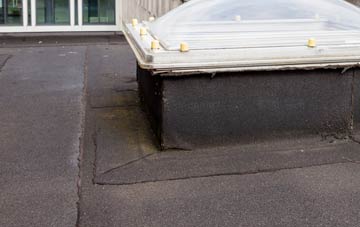 disadvantages of Elsdon flat roofs