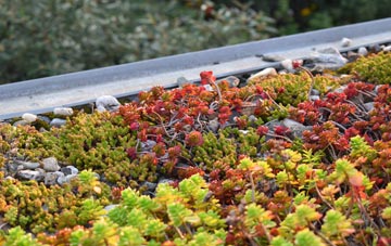 the cost of Elsdon green roof installation